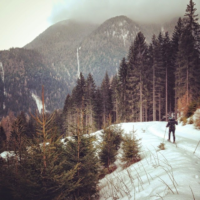 11007852_957640644247079_1567365793_n