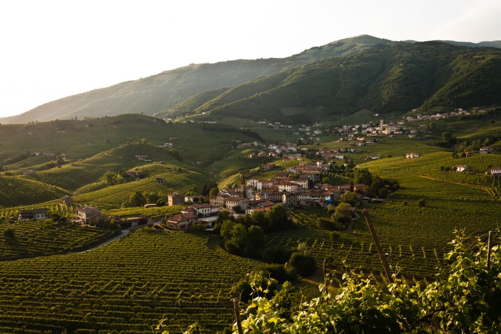 The Prosecco DOCG hills 01 - Photo ©Mattia Mionetto