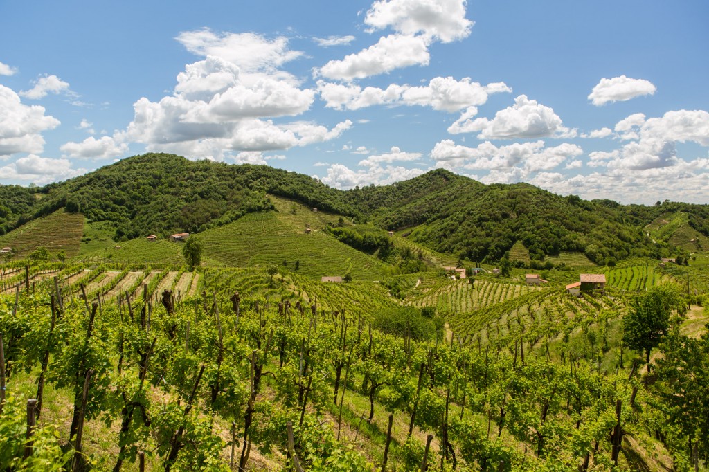 The Prosecco DOCG hills 10 - Photo ©Mattia Mionetto