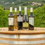 vini bianchi Valpolicella Ilatium Morini