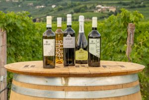 vini bianchi Valpolicella Ilatium Morini