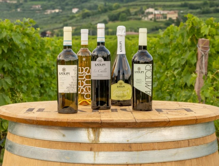 vini bianchi Valpolicella Ilatium Morini